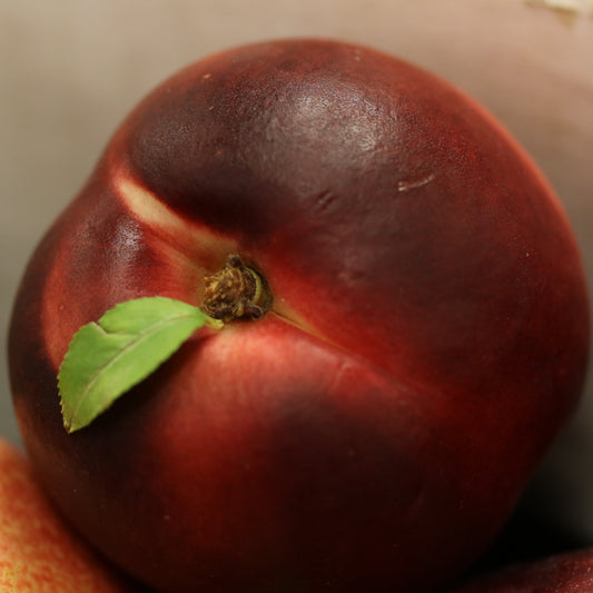 Flavortop Nectarine Tree - Fruit Tree - Buy Online at Barely Rooted